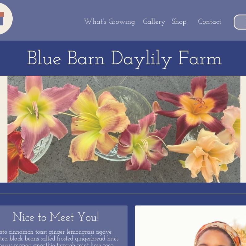 Blue Barn Daylilies Website Preview